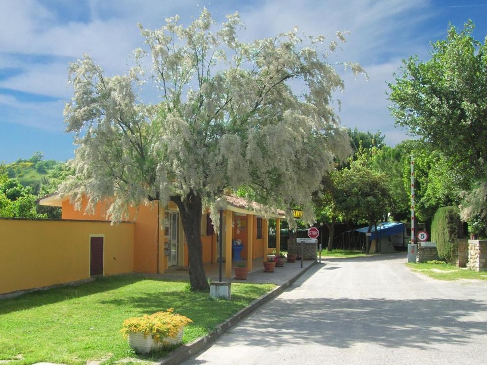 Camping Paradiso Pesaro Zewnętrze zdjęcie